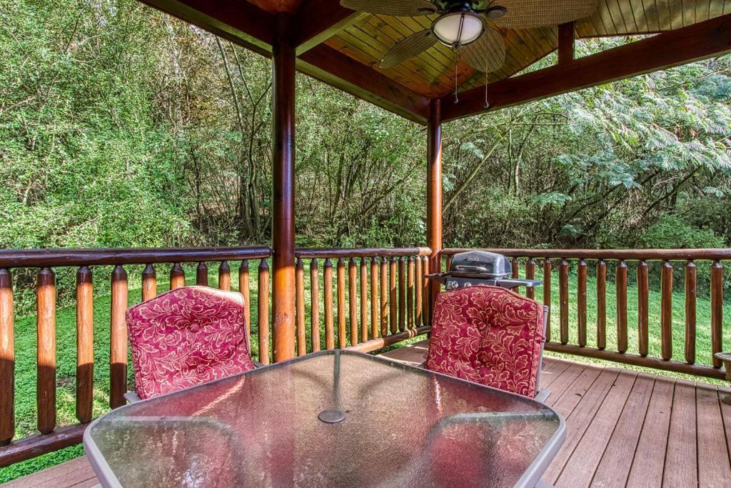 Papa Bear, Hot Tub, Wifi, 1089 Free Tickets Each Paid Day, Dollywood And More Sevierville Exteriér fotografie