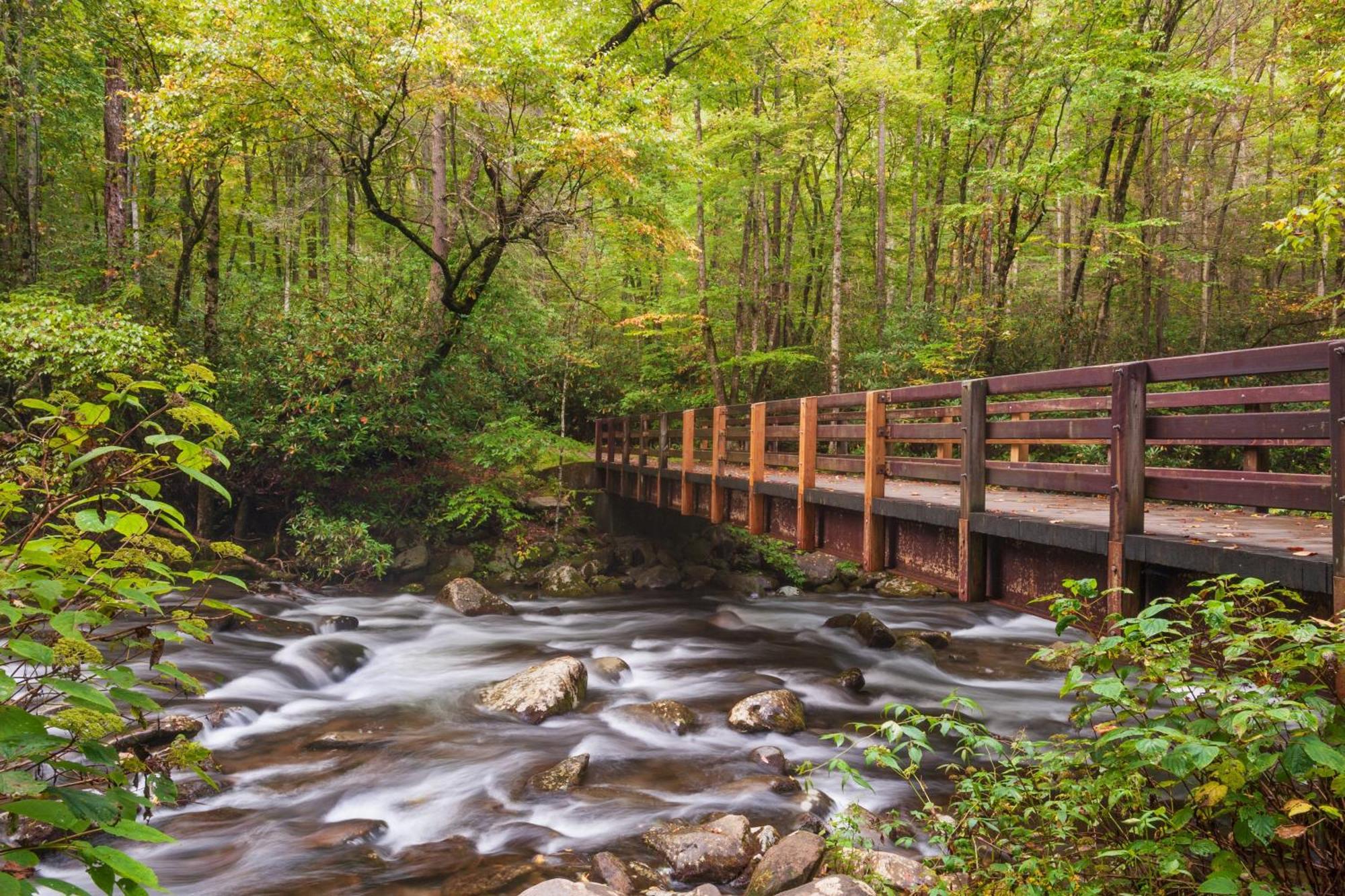 Papa Bear, Hot Tub, Wifi, 1089 Free Tickets Each Paid Day, Dollywood And More Sevierville Exteriér fotografie